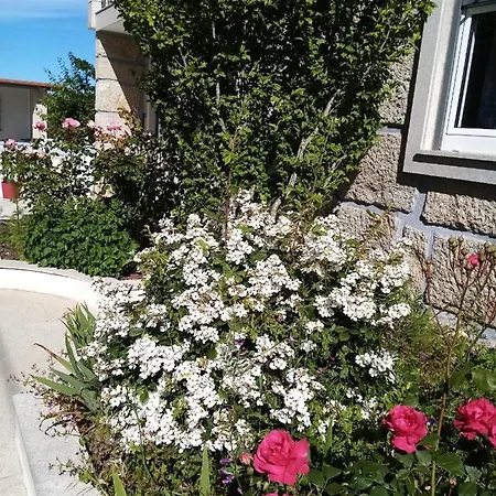 Homestay Vivenda Carvalhas