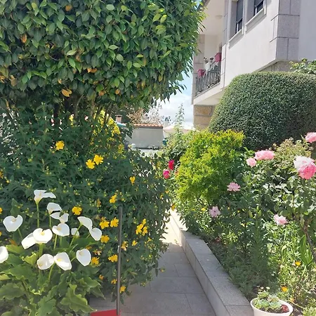 Vivenda Carvalhas Amiar