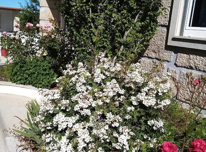 בית אירוח Vivenda Carvalhas